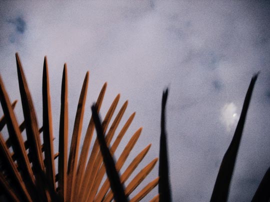  MARTA PEIRÓ _ llovizna 