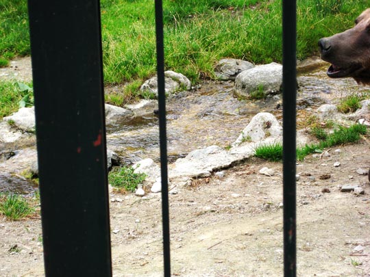  MARTA PEIRÓ _ los hierros de tu calabozo 