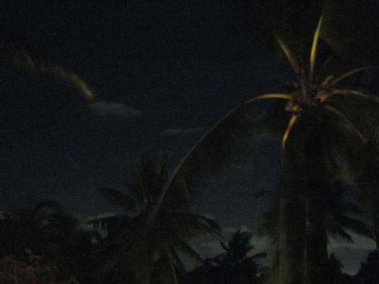  MARTA PEIRÓ _ mis noches en el paraíso 