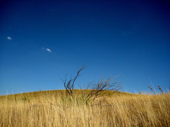  MARTA PEIRÓ _ monte sinaí 