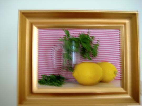  MARTA PEIRÓ _ naturaleza en coma 