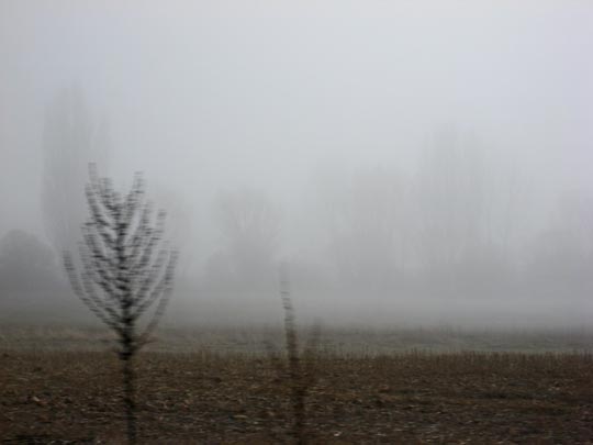  MARTA PEIRÓ _ niebla 