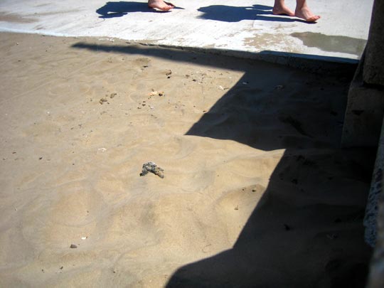  MARTA PEIRÓ _ nunca apoyan el pie derecho 