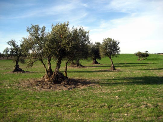  MARTA PEIRÓ _ ofensiva 