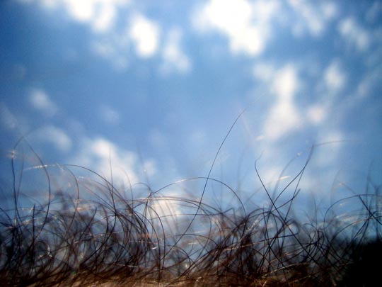  MARTA PEIRÓ _ otro vergel 