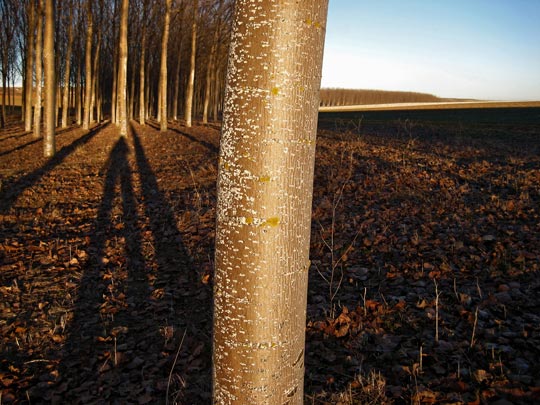  MARTA PEIRÓ _ primer y segundo acto (2) 