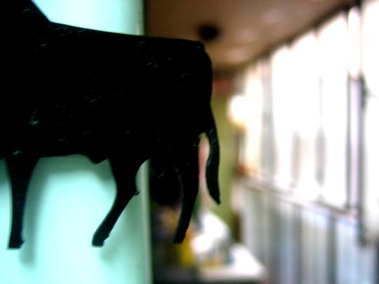  MARTA PEIRÓ _ rabo de toro 