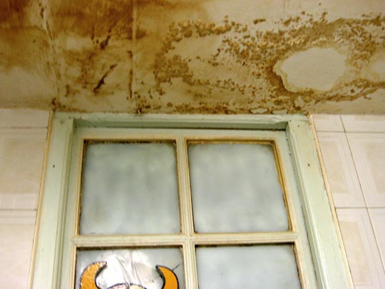  MARTA PEIRÓ _ san fermín 