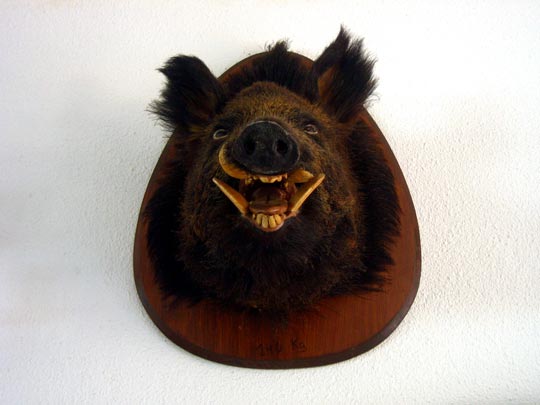  MARTA PEIRÓ _ se parte de la risa el pobrecillo 