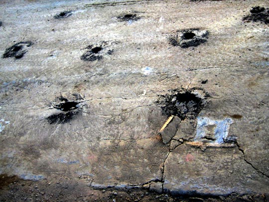  MARTA PEIRÓ _ sobre lienzo azul 