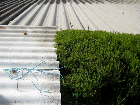  MARTA PEIRÓ _ tetrapus 