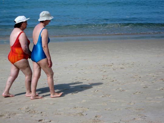  MARTA PEIRÓ _ tigres, leones, todos... 