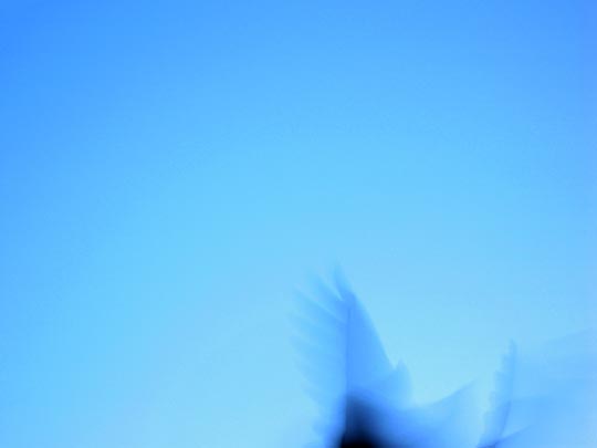  MARTA PEIRÓ _ un asco volando 