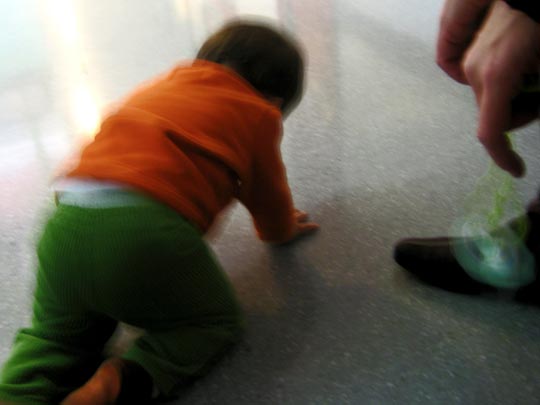  MARTA PEIRÓ _ un perro 