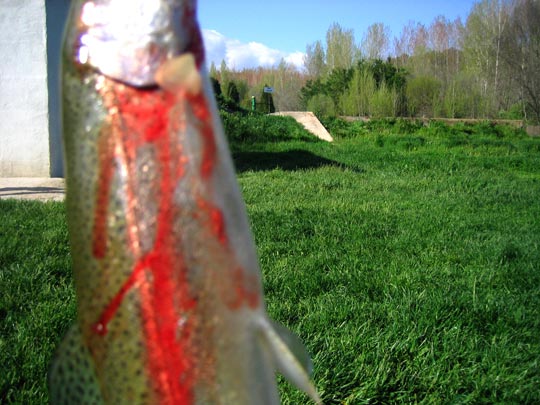  MARTA PEIRÓ _ una pasión 