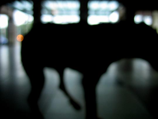  MARTA PEIRÓ _ vendido 