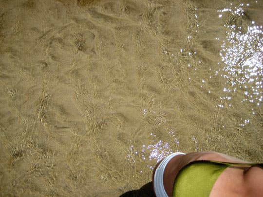  MARTA PEIRÓ _ verdiblanca 