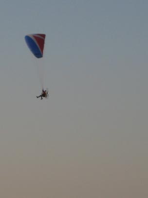  MIQUI PUIG _ fly robin fly. silver convetion 