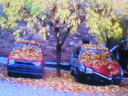  MIQUI PUIG _ my october symphony. pet shop boys 