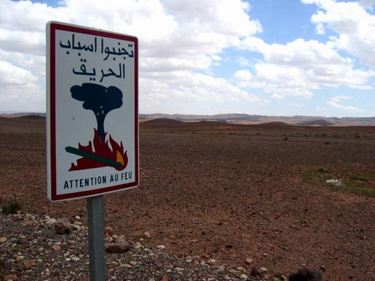  ORIOL BOSCH _ chiste 