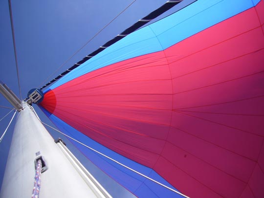  ALICIA OTAEGUI _ abstracción 