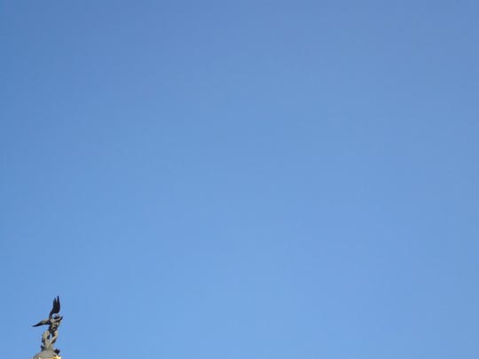  ALICIA OTAEGUI _ air madrid 