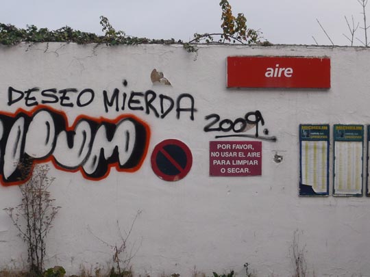  ALICIA OTAEGUI _ aire 