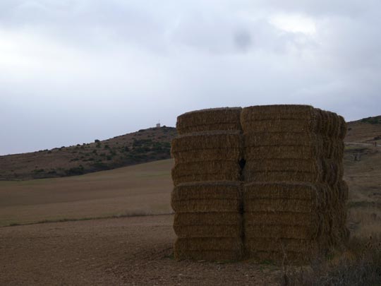  ALICIA OTAEGUI _ arquitectura bioclimática 