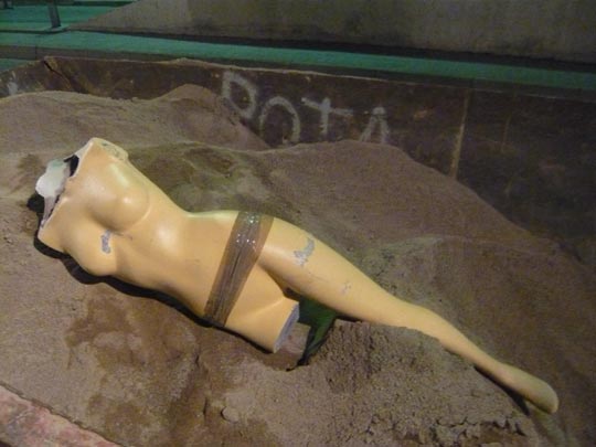  ALICIA OTAEGUI _ asesinato en la playa 