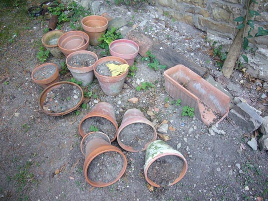  ALICIA OTAEGUI _ asilo 