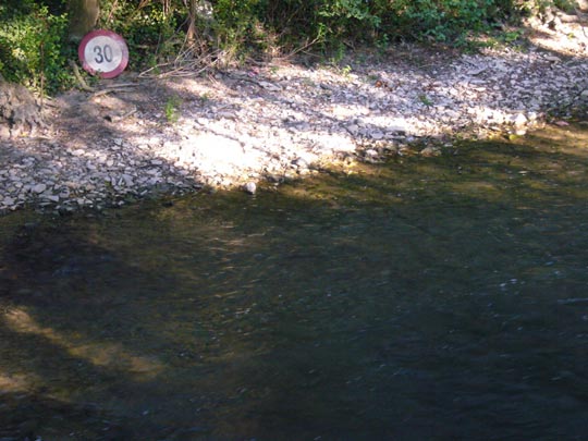  ALICIA OTAEGUI _ ¡atención peces! 