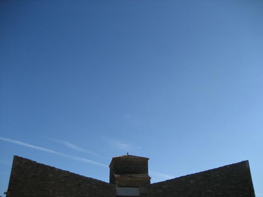  ALICIA OTAEGUI _ ave fénix 