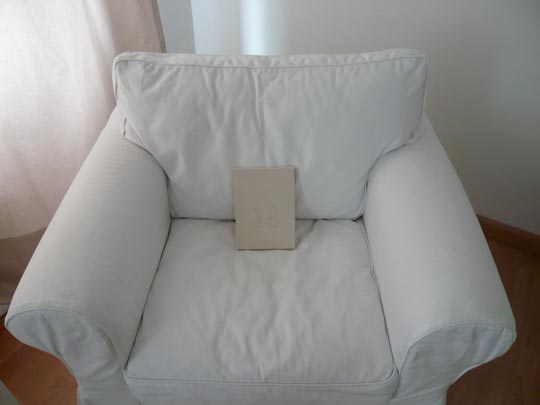  ALICIA OTAEGUI _ blanco sobre blanco 