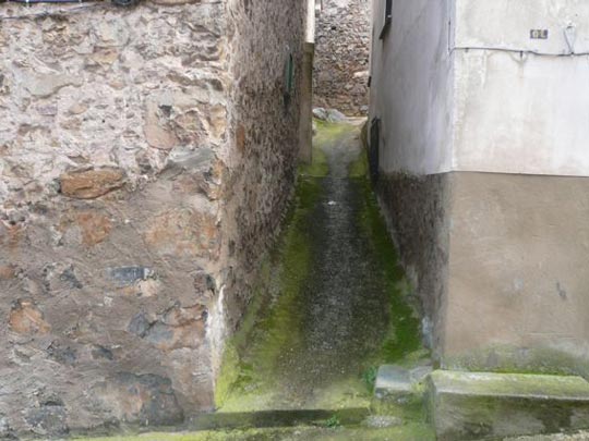  ALICIA OTAEGUI _ callejón con salida 