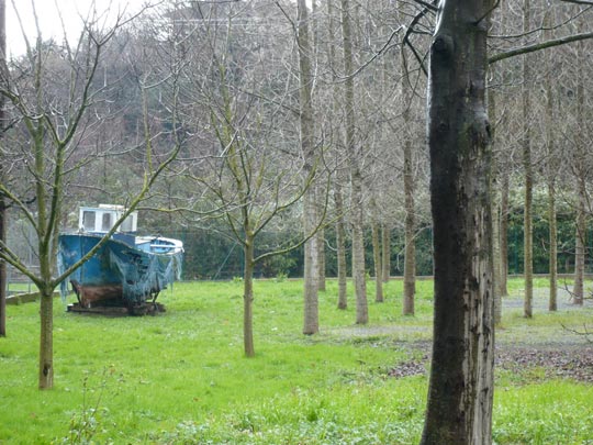  ALICIA OTAEGUI _ cambio climático 