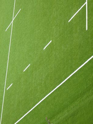  ALICIA OTAEGUI _ campo santo 