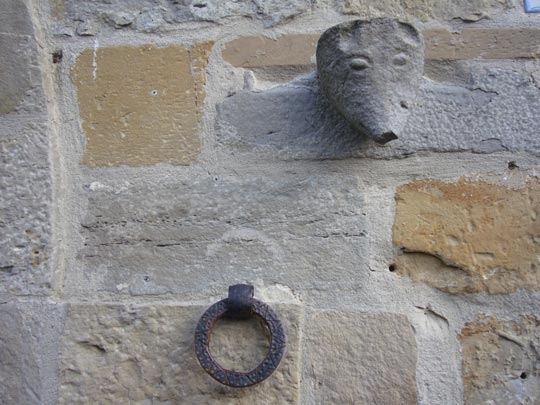  ALICIA OTAEGUI _ cara y piercing 