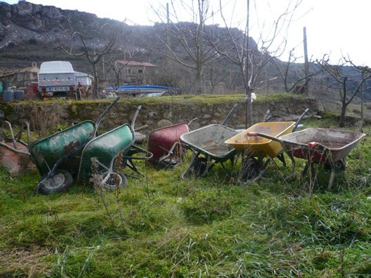  ALICIA OTAEGUI _ carretillas en huelga 