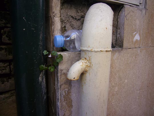  ALICIA OTAEGUI _ casi fuente 