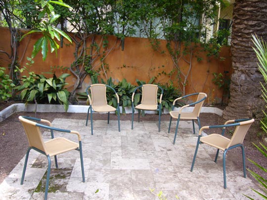  ALICIA OTAEGUI _ conversación amena 