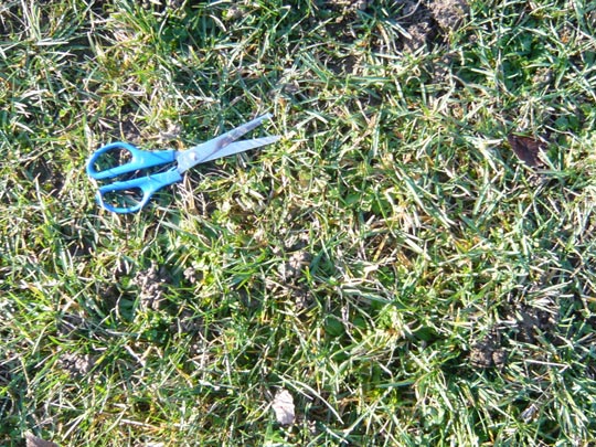  ALICIA OTAEGUI _ corta cesped 