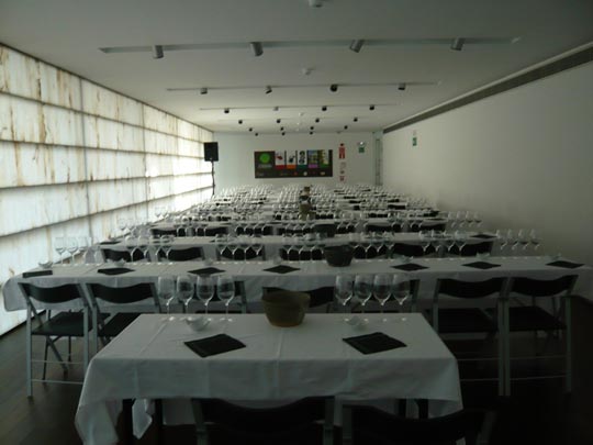  ALICIA OTAEGUI _ de copas 