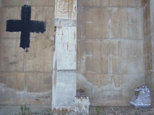  ALICIA OTAEGUI _ de repente, un tàpies 