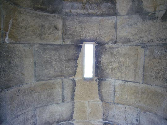  ALICIA OTAEGUI _ dentro 