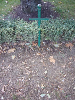  ALICIA OTAEGUI _ descanse en paz 