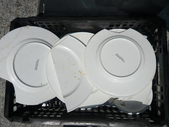  ALICIA OTAEGUI _ discusión 