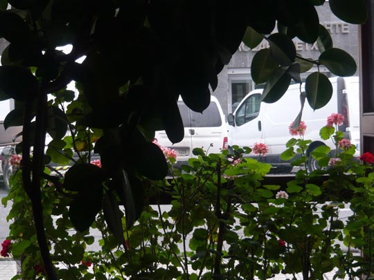  ALICIA OTAEGUI _ donde espía el espía 