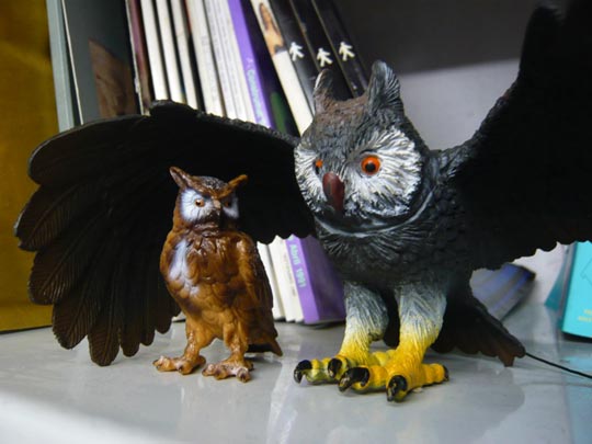  ALICIA OTAEGUI _ el amigo custodio 