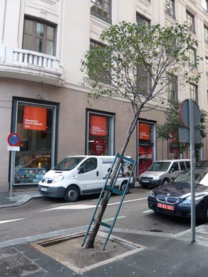  ALICIA OTAEGUI _ el árbol que se enamoró de una señal 