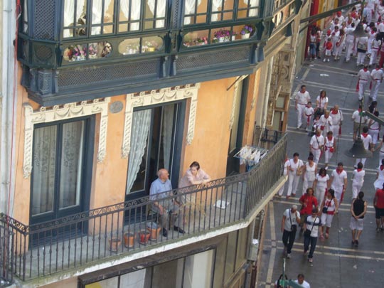  ALICIA OTAEGUI _ el balcón de las 6 macetas 